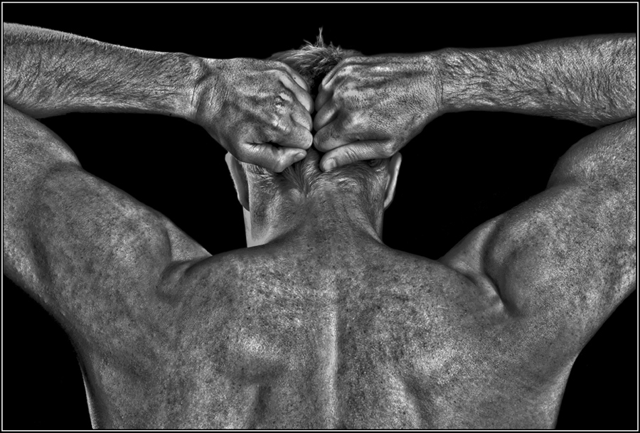 back muscles1